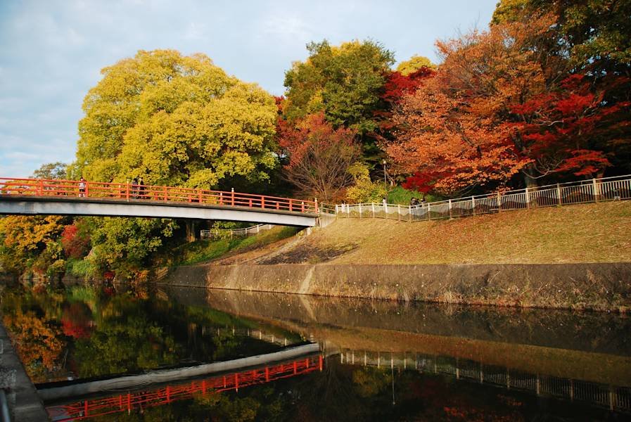 🌳 타츠다 자연공원 (타이쇼지 절터) 이미지 5